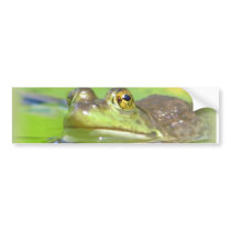 Green Frog Bumper Sticker
