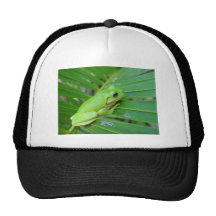 Green frog design trucker hats