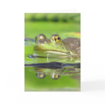 Green Frog Greeting Card