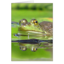 Green Frog Greeting Card