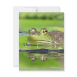 Green Frog Invitation
