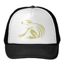 Green Frog Logo Mesh Hat