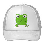 Green Frog. Looking confused. Hats