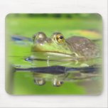 Green Frog Mouse Pad mousepads
