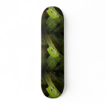Green Frog on a Skateboard