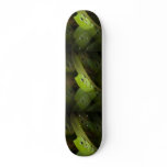 Green Frog on a Skateboard