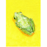 Green frog on yellow background watercolour photo sculptures
