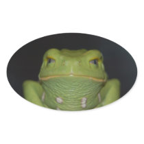 Green Frog