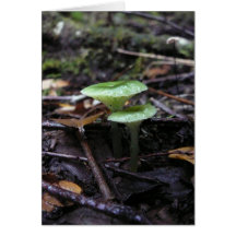 green fungi greeting cards