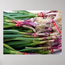 Green Garlic Posters