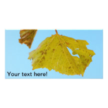 Green grape vine leaf customised photo card