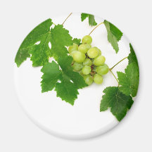 Green Grapes Fridge Magnet