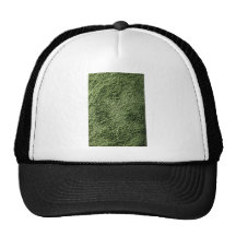 Green Gras Kappe