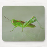 Green Grasshopper mousepad