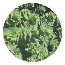 Green Ground Cover Sticker