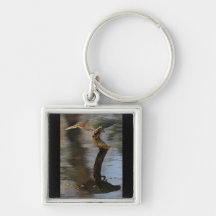 Green Heron Keychain