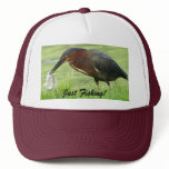 Green Heron with fish Hat