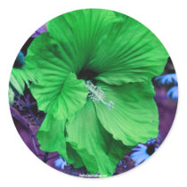 Green Hibiscus Flower Photography Sticker Label