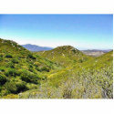Green Hills photo sculptures