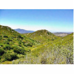 Green Hills photo sculptures