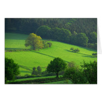 Green Hils Cards