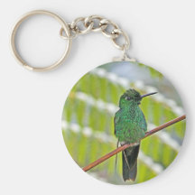 Green Hummingbird Photo Key Chain