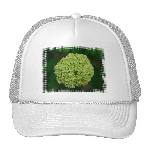 Green Hydrangea Baseball Cap Hat