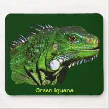 Green Iguana Collection Mouse Mats