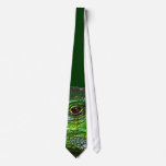 Green Iguana Collection
