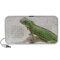 Green Iguana Lizard Speakers