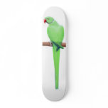 Green Indian Ringneck Parakeet Skateboard