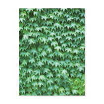 Green ivy 2012 Calendar Postcard