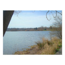 Green Lake Photo