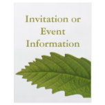 Green Leaf flyers