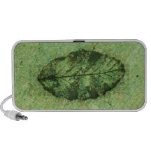 Green Leaf Fossil Travelling Speaker