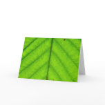 Green Leaf Greeting Card