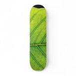 Green Leaf Leaves skateboards