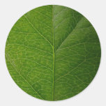 Green Leaf Round Stickers