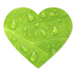 Green leaf sticker