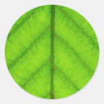 Green Leaf Stickers
