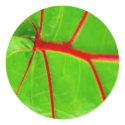 Green Leaf with Red Veins stickers