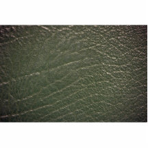 Green leather texture photo cutouts