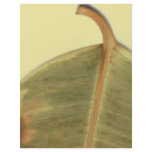 Green Leave Flyer