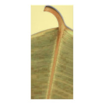 Green Leave Rack Card