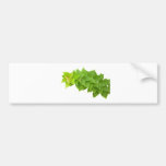 Green leaves bumper sticker