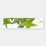 Green leaves bumper stickers