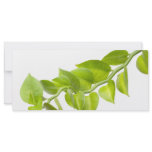 Green leaves rack cards