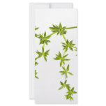 Green leaves rack cards