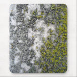 Green lichen on granite mouse pads