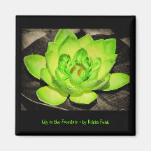 Green Lily Spotlight Refrigerator Magnets